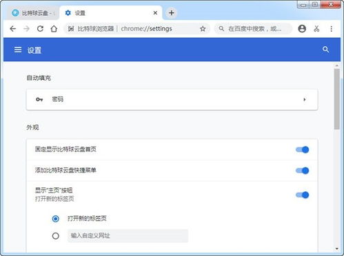 比特球浏览器软件下载与使用指南 v1.2.7.1官方版在当易网上的安全获取
